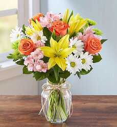 Fields of Europe Davenport Florist - Same Day Flower Delivery - Flower Power 